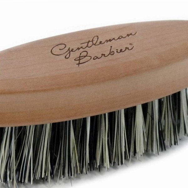 Brosse  Barbe Gentleman Barbier Cactus