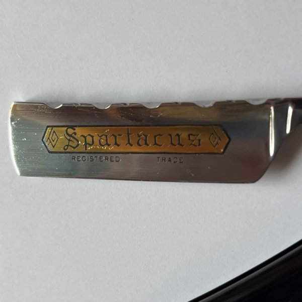 Coupe choux Thiers Issard Spartacus