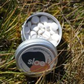 Dentifrice solide en pastilles Sloe
