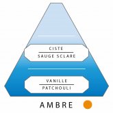Parfum homme Antoine Ambre