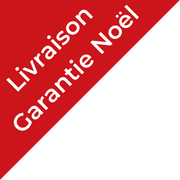 Livraison avant Noel
