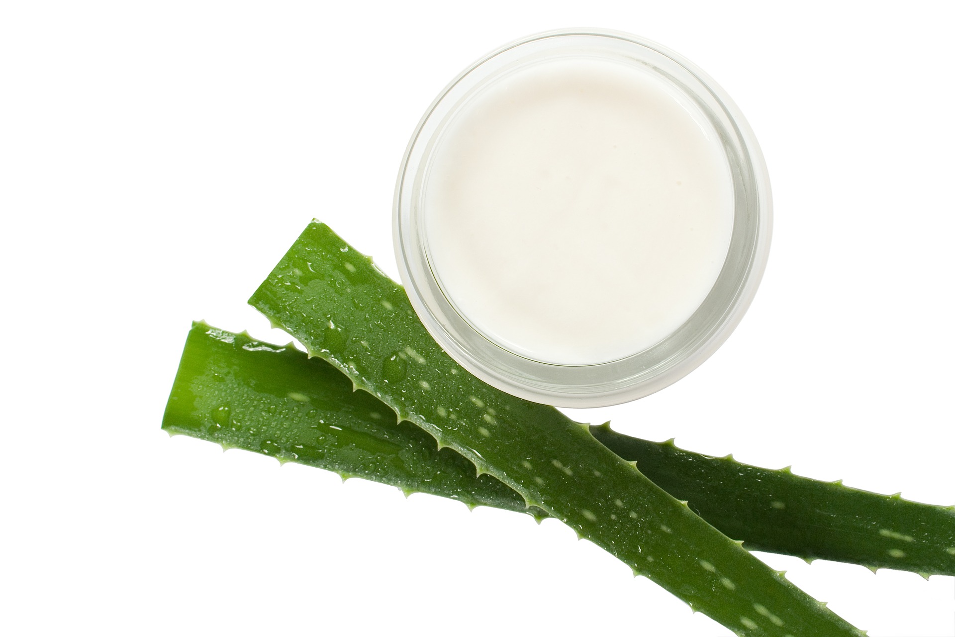 anti cerne efficace aloe vera