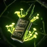 Sérum Visage Dick Johnson aux Champignons Magiques Lion's Mane