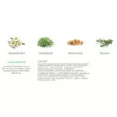 Crème visage homme KoKwai Essentiel