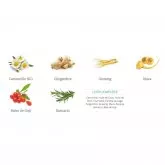 Crème hydratante coup d'éclat KoKwaï Off Stress